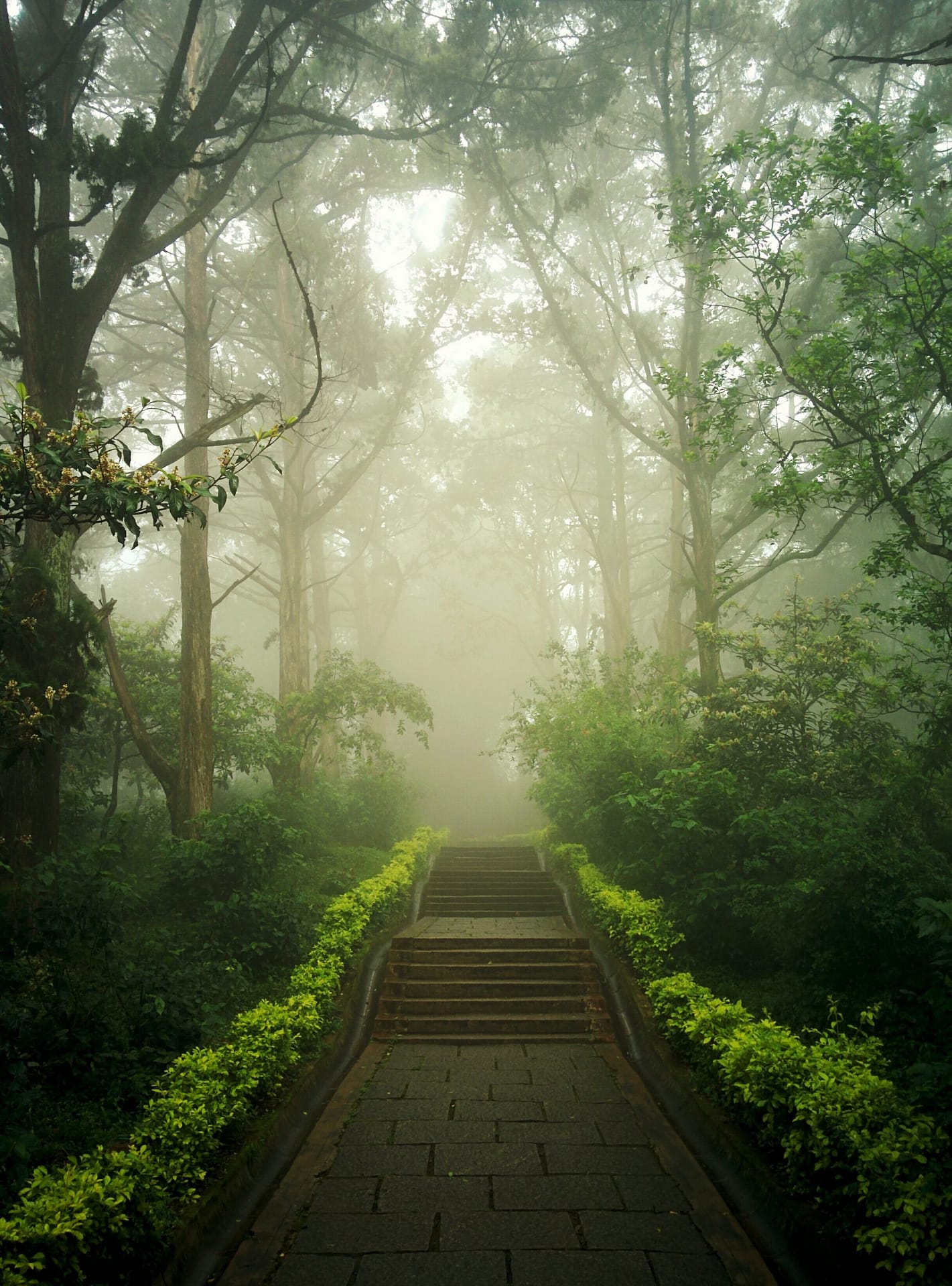 sebin-thomas-OdBFUurPHjo-unsplash sebin-thomas-OdBFUurPHjo-unsplash